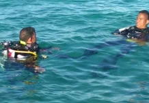 Pencarian Korban Kapal Terbakar, Tim SAR Belum Temukan Pria Pembawa Uang Panai Pencarian Korban Kapal Terbakar, Tim SAR Belum Temukan Pria Pembawa Uang Panai