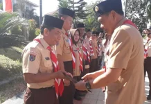 Sejumlah Anggota Pramuka di Kolaka Dapat Penghargaan Sejumlah Anggota Pramuka di Kolaka Dapat Penghargaan
