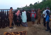 Investor Jepang Tertarik Beli Rumput Laut Muna Investor Jepang Tertarik Beli Rumput Laut Muna