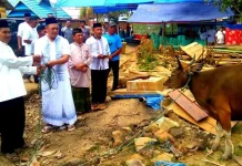 Berkurban, Ruksamin Serukan Jaga Persatuan Berkurban, Ruksamin Serukan Jaga Persatuan