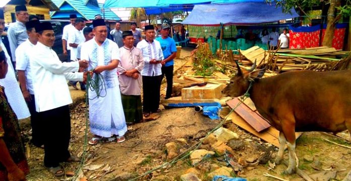 Berkurban, Ruksamin Serukan Jaga Persatuan