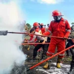 Agustus 2019, Luas Karhutla di Bombana dan Konsel Alami Penurunan Agustus 2019, Luas Karhutla di Bombana dan Konsel Alami Penurunan