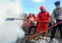 Agustus 2019, Luas Karhutla di Bombana dan Konsel Alami Penurunan Agustus 2019, Luas Karhutla di Bombana dan Konsel Alami Penurunan
