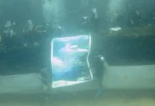 Mahasiswa UHO Kibarkan Bendera di Bawah Laut Mahasiswa UHO Kibarkan Bendera di Bawah Laut