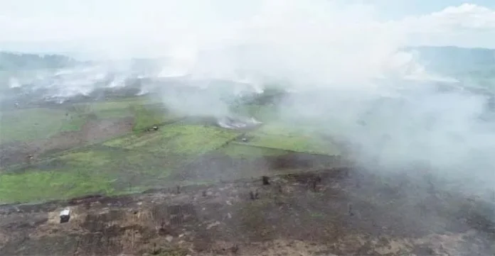 230 Hektar Lahan Gambut di Koltim Terbakar, Asap Tebal Mengancam Warga