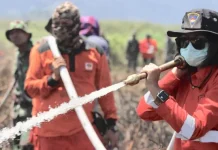 Ni Luh, Perempuan Mungil Penakluk Karhutla di Koltim Ni Luh, Perempuan Mungil Penakluk Karhutla di Koltim