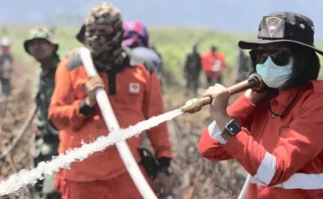 Ni Luh, Perempuan Mungil Penakluk Karhutla di Koltim Ni Luh, Perempuan Mungil Penakluk Karhutla di Koltim