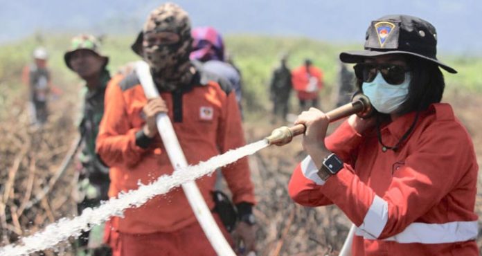 Ni Luh, Perempuan Mungil Penakluk Karhutla di Koltim