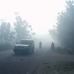 Asap Tebal Selimuti Pemukiman Warga Kelurahan Lalolae Koltim