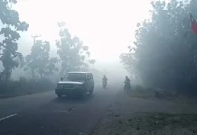 Asap Tebal Selimuti Pemukiman Warga Kelurahan Lalolae Koltim