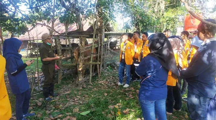 Dosen UHO Ajak Warga Konsel Inovatif Manajemen Pakan Ternak