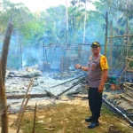 Diduga Lupa Matikan Api Tungku, Rumah Warga Konut Terbakar Diduga Lupa Matikan Api Tungku, Rumah Warga Konut Terbakar