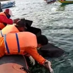 Korban Tabrakan Long Boat di Talaga Buteng Ditemukan Tak Bernyawa Korban Tabrakan Long Boat di Talaga Buteng Ditemukan Tak Bernyawa
