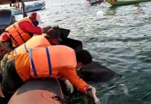 Korban Tabrakan Long Boat di Talaga Buteng Ditemukan Tak Bernyawa Korban Tabrakan Long Boat di Talaga Buteng Ditemukan Tak Bernyawa
