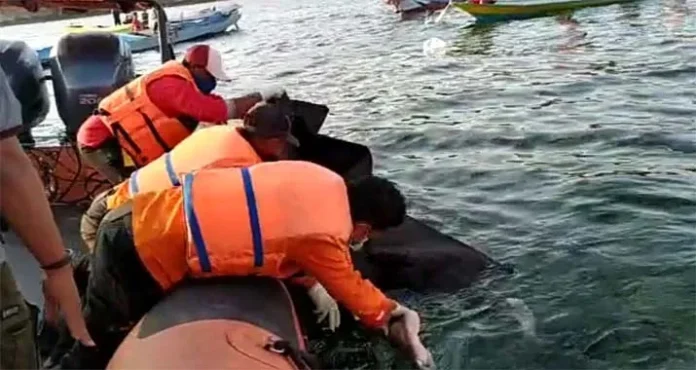 Korban Tabrakan Long Boat di Talaga Buteng Ditemukan Tak Bernyawa