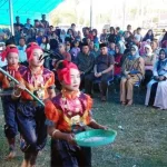Panen Padi Melimpah di Kambowa: Bupati Butur: Kita Harus Sama-sama Bekerja Keras Panen Padi Melimpah di Kambowa: Bupati Butur: Kita Harus Sama-sama Bekerja Keras