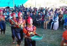 Panen Padi Melimpah di Kambowa: Bupati Butur: Kita Harus Sama-sama Bekerja Keras Panen Padi Melimpah di Kambowa: Bupati Butur: Kita Harus Sama-sama Bekerja Keras