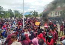 Mahasiswa USN Juga Demo di DPRD Tolak RKUHP dan UU KPK Mahasiswa USN Juga Demo di DPRD Tolak RKUHP dan UU KPK