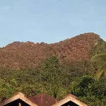 Polisi Tak Temukan Ada Unsur Kesengajaan Kebakaran Hutan di Konsel Polisi Tak Temukan Ada Unsur Kesengajaan Kebakaran Hutan di Konsel