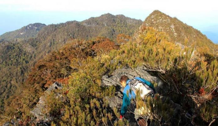 Ranomeeto Jadi Wilayah Terdingin, Pomalaa Paling Panas