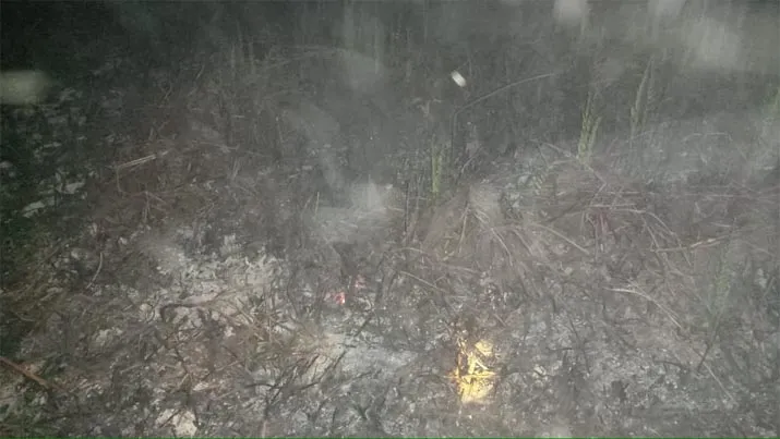 Pelaku Pembakaran Lahan Gambut Koltim Ditangkap