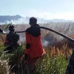 Tim Manggala Agni Kesulitan Padamkan Api Lahan Gambut di Koltim Tim Manggala Agni Kesulitan Padamkan Api Lahan Gambut di Koltim