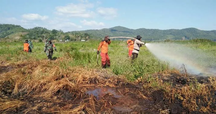 Tim Manggala Agni Kesulitan Padamkan Api Lahan Gambut di Koltim