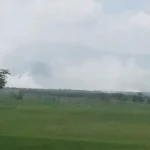 Pembakaran Hutan di Koltim, Polisi Periksa Sejumlah Saksi Pembakaran Hutan di Koltim, Polisi Periksa Sejumlah Saksi