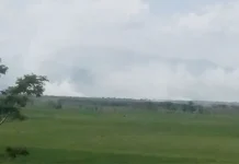 Pembakaran Hutan di Koltim, Polisi Periksa Sejumlah Saksi Pembakaran Hutan di Koltim, Polisi Periksa Sejumlah Saksi