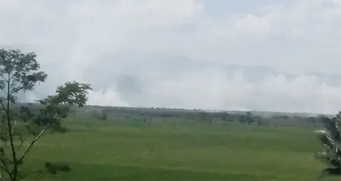 koltim Pembakaran Hutan di Koltim, Polisi Periksa Sejumlah Saksi