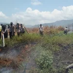 Selalu Makan Mie Instan-Telur, Personil Manggala Agni di Koltim Terancam Ditarik Selalu Makan Mie Instan-Telur, Personil Manggala Agni di Koltim Terancam Ditarik