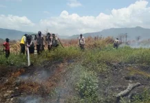 Selalu Makan Mie Instan-Telur, Personil Manggala Agni di Koltim Terancam Ditarik Selalu Makan Mie Instan-Telur, Personil Manggala Agni di Koltim Terancam Ditarik