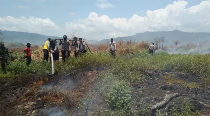 Selalu Makan Mie Instan-Telur, Personil Manggala Agni di Koltim Terancam Ditarik