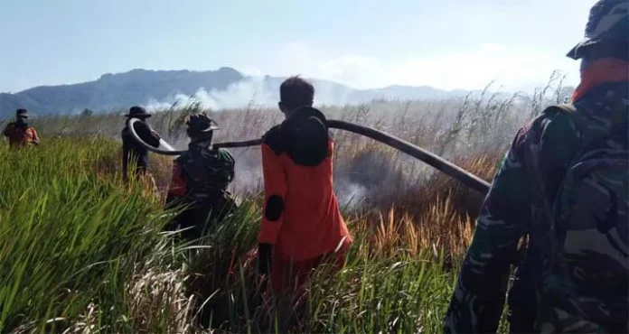 koltim Tim Manggala Agni Kesulitan Padamkan Api Lahan Gambut di Koltim