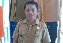 Awal Desember Jaringan Telkomsel di Mubar Bagus Kepala Dinas Komunikasi dan Informatika (Diskominfo) Mubar, La Edy