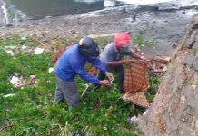 Warga di Kolaka Dihebohkan Penemuan Mayat Bayi Warga di Kolaka Dihebohkan Penemuan Mayat Bayi