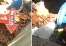 Polisi Temukan 3 Selongsong Peluru di Lokasi Terkaparnya Yusuf dan Randi Polisi Temukan 3 Selongsong Peluru di Lokasi Terkaparnya Yusuf dan Randi