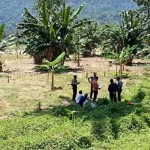 Pria di Kolut Tewas Tersengat Listrik Saat Tangkap Ikan di Sungai Pria di Kolut Tewas Tersengat Listrik Saat Tangkap Ikan di Sungai