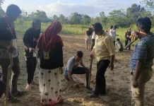 Dosen UHO Ajak Warga Konsel Inovatif Manajemen Pakan Ternak Dosen UHO Ajak Warga Konsel Inovatif Manajemen Pakan Ternak