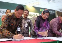 Telkomsel Transformasi Solusi Bisnis Berbasis Digital untuk Pengembangan Operasional Pegadaian Telkomsel Transformasi Solusi Bisnis Berbasis Digital untuk Pengembangan Operasional Pegadaian