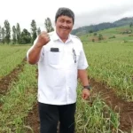 Dirjen Holtikultura: HPS di Sultra Momentum Kebangkitan Pangan Sagu dan Kakao Jenderal (Dirjen) Hortikultura Prihasto Setyanto