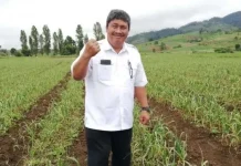 Dirjen Holtikultura: HPS di Sultra Momentum Kebangkitan Pangan Sagu dan Kakao Jenderal (Dirjen) Hortikultura Prihasto Setyanto