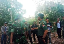 TNI Buat Jalan Baru untuk Warga Majapahit di Busel TNI Buat Jalan Baru untuk Warga Majapahit di Busel