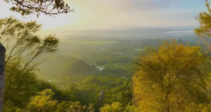 Panas Menyengat Siang dan Malam Hari, BMKG Ungkap Alasannya