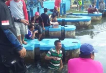 Seorang Anak di Konawe Dilaporkan Tenggelam Seorang Anak di Konawe Dilaporkan Tenggelam