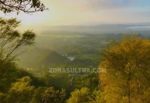 Puncak Popalia dan Pepohonan Cemara di Perbukitan Wolasi Puncak Popalia dan Pepohonan Cemara di Perbukitan Wolasi