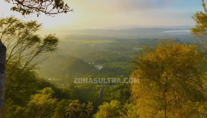 Puncak Popalia dan Pepohonan Cemara di Perbukitan Wolasi