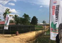 Ada Nadi Pada Kakao di Pudambu, HPS dan Kerinduan Hadirnya Presiden Ada Nadi Pada Kakao di Pudambu, HPS dan Kerinduan Hadirnya Presiden