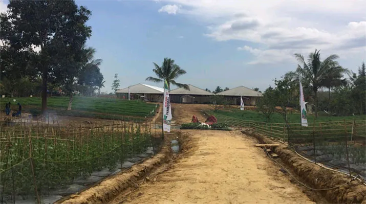 Ada Nadi Pada Kakao di Pudambu, HPS dan Kerinduan Hadirnya Presiden