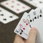 62 Atlet Bridge Sultra Ikut Kejurda Ilustrasi Atlet Bridge